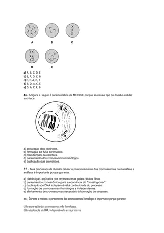 a) A, B, C, D, E
b) E, A, D, C, B
c) C, E, A, D, B
d) B, D, A, C, E
e) D, A, C, E, B

44 - A figura a seguir é característica da MEIOSE porque só nesse tipo de divisão celular
acontece:




a) separação dos centríolos.
b) formação do fuso acromático.
c) manutenção da carioteca.
d) pareamento dos cromossomos homólogos.
e) duplicação das cromátides.

45 - Nos processos de divisão celular o posicionamento dos cromossomas na metáfase e
anáfase é importante porque garante:

a) distribuição eqüitativa dos cromossomas pelas células filhas.
b) pareamento cromossômico para a ocorrência do "crossing-over".
c) duplicação de DNA indispensável à continuidade do processo.
d) formação de cromossomas homólogos e independentes.
e) alinhamento de cromossomas necessário à formação de sinapses.

46 - Durante a meiose, o pareamento dos cromossomos homólogos é importante porque garante:

(A) a separação dos cromossomos não homólogos.
(B) a duplicação do DNA, indispensável a esse processo.
 