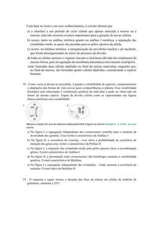 Com base no texto e em seus conhecimentos, é correto afirmar que
   a) a interfase é um período do ciclo celular que apenas antecede a mitose ou a
     meiose; nela não ocorrem eventos importantes para a geração de novas células.
   b) ocorre, tanto na anáfase mitótica quanto na anáfase I meiótica, a separação das
     cromátides irmãs, as quais são puxadas para os pólos opostos da célula.
   c) ocorre, na telófase mitótica, a reorganização do envoltório nuclear e do nucléolo,
      que foram desorganizados no início do processo de divisão.
   d) todas as células animais e vegetais iniciam a citocinese (divisão do citoplasma) da
     mesma forma, pela invaginação da membrana plasmática (movimento centrípeto).
   e)são formadas duas células diplóides no final da mitose masculina, enquanto que,
     no final da meiose, são formadas quatro células diplóides, considerando a espécie
     humana.


18 - Como vocês já devem ter percebido, é grande a variabilidade de espécies, comportamentos
    e adaptações das formas de vida com as quais compartilhamos o planeta. Essa variabilidade
    fenotípica está relacionada à constituição genética do indivíduo e pode ser observada até
    dentro da mesma espécie. Etapas da divisão celular como as representadas nas figuras
    abaixo justificam essa variabilidade:




   Marque a opção em que se relaciona adequadamente a figura ao evento biológico e a fase em que
   ocorre.
   a) Na figura I, a segregação independente dos cromossomos contribui para o aumento da
      diversidade dos gametas. Esse evento é característico da Anáfase I
   b) Na figura II, a ocorrência do crossing - over eleva a probabilidade de ocorrência de
     mutação dos genes.esse evento é característico da Prófase II
   c) Na figura I, a migração das cromátides-irmãs para pólos opostos eleva a recombinação
      gênica. Evento característico da Anáfase I
   d) Na figura II, a permutação entre cromossomos não homólogos aumenta a variabilidade
      genética. Evento característico da Metáfase
   e) Na figura I a segregação independente das cromátides – irmãs aumenta a ocorrência de
      mutação. Evento típico da Metáfase II.


19 - O esquema a seguir mostra a duração das fases da mitose em células de embrião de
   gafanhoto, mantidas a 38°C.
 