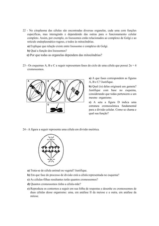 22 - No citoplasma das células são encontradas diversas organelas, cada uma com funções
   específicas, mas interagindo e dependendo das outras para o funcionamento celular
   completo. Assim, por exemplo, os lisossomos estão relacionados ao complexo de Golgi e ao
   retículo endoplasmático rugoso, e todos às mitocôndrias.
   a) Explique que relação existe entre lisossomo e complexo de Golgi.
   b) Qual a função dos lisossomos?
   c) Por que todas as organelas dependem das mitocôndrias?


23 - Os esquemas A, B e C a seguir representam fases do ciclo de uma célula que possui 2n = 4
    cromossomos.


                                                          a) A que fases correspondem as figuras
                                                          A, B e C? Justifique.
                                                          b) Qual (is) delas originará um gameta?
                                                          Justifique com base no esquema,
                                                          considerando que todas pertencem a um
                                                          mesmo organismo.
                                                          c) A seta a figura D indica uma
                                                          estrutura cromossômica fundamental
                                                          para a divisão celular. Como se chama e
                                                          qual sua função?




24 - A figura a seguir representa uma célula em divisão meiótica.




   a) Trata-se de célula animal ou vegetal? Justifique.
   b) Em que fase do processo de divisão está a célula representada no esquema?
   c) As células-filhas resultantes terão quantos cromossomos?
   d) Quantos cromossomos tinha a célula-mãe?
   e) Reproduza os contornos a seguir em sua folha de respostas e desenhe os cromossomos de
      duas células desse organismo: uma, em anáfase II da meiose e a outra, em anáfase da
      mitose.
 