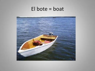 El bote = boat
 