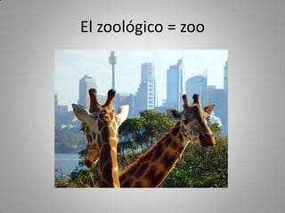 El zoológico = zoo
 