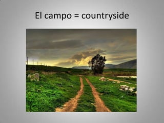 El campo = countryside
 