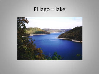 El lago = lake
 