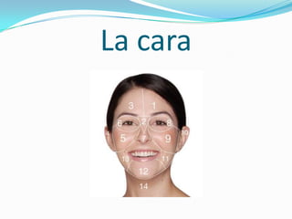 La cara
 