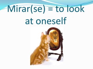 Mirar(se) = to look
    at oneself
 