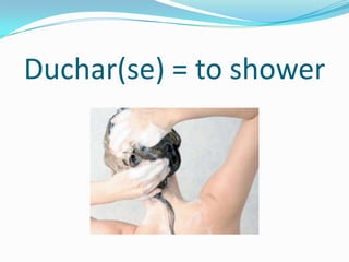 Duchar(se) = to shower
 