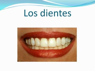 Los dientes
 