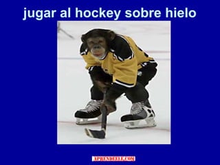 jugar al hockey sobre hielo
 