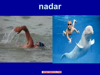 nadar
 