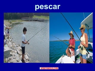 pescar
 