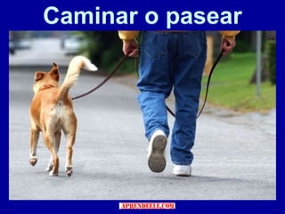 Caminar o pasear
 