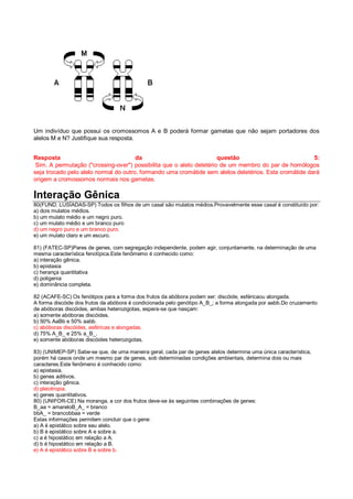Um indivíduo que possui os cromossomos A e B poderá formar gametas que não sejam portadores dos
alelos M e N? Justifique sua resposta.
Resposta da questão 5:
Sim. A permutação ("crossing-over") possibilita que o alelo deletério de um membro do par de homólogos
seja trocado pelo alelo normal do outro, formando uma cromátide sem alelos deletérios. Esta cromátide dará
origem a cromossomos normais nos gametas.
Interação Gênica
80(FUND. LUSÍADAS-SP) Todos os filhos de um casal são mulatos médios.Provavelmente esse casal é constituído por:
a) dois mulatos médios.
b) um mulato médio e um negro puro.
c) um mulato médio e um branco puro
d) um negro puro e um branco puro.
e) um mulato claro e um escuro.
81) (FATEC-SP)Pares de genes, com segregação independente, podem agir, conjuntamente, na determinação de uma
mesma característica fenotípica.Este fenômemo é conhecido como:
a) interação gênica.
b) epistasia
c) herança quantitativa
d) poligenia
e) dominância completa.
82 (ACAFE-SC) Os fenótipos para a forma dos frutos da abóbora podem ser: discóide, esféricaou alongada.
A forma discóide dos frutos da abóbora é condicionada pelo genótipo A_B_; a forma alongada por aabb.Do cruzamento
de abóboras discóides, ambas heterozigotas, espera-se que nasçam:
a) somente abóboras discóides.
b) 50% AaBb e 50% aabb.
c) abóboras discóides, esféricas e alongadas.
d) 75% A_B_ e 25% a_B_.
e) somente abóboras discóides heterozigotas.
83) (UNIMEP-SP) Sabe-se que, de uma maneira geral, cada par de genes alelos determina uma única característica,
porém há casos onde um mesmo par de genes, sob determinadas condições ambientais, determina dois ou mais
caracteres.Este fenômeno é conhecido como:
a) epistasia.
b) genes aditivos.
c) interação gênica.
d) pleiotropia.
e) genes quantitativos.
80) (UNIFOR-CE) Na moranga, a cor dos frutos deve-se às seguintes combinações de genes:
B_aa = amareloB_A_ = branco
bbA_ = brancobbaa = verde
Estas informações permitem concluir que o gene:
a) A é epistático sobre seu alelo.
b) B é epistático sobre A e sobre a.
c) a é hipostático em relação a A.
d) b é hipostático em relação a B.
e) A é epistático sobre B e sobre b.
 