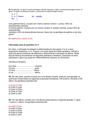 03. Na galinhas, um gene C produz plumagem colorida, enquanto o alelo c condiciona plumagem branca. O
gene C é inibido na presença do gene I, produzindo-se então plumagem branca.
Uma galinha branca, cruzada com macho colorido número 1, produz 100% de
descendentes coloridos.
A mesma galinha, cruzada com um macho número 2, também colorido, produz 50% de
descendentes
coloridos e 50% de descendentes brancos. Quais são os genótipos da galinha e dos dois
galos?
03. Galinha iicc; macho 2 iiCc
Informação para as questões 4 e 5
Em ratos, a coloração da pelagem é determinada por dois genes, C e A, e seus
respectivos recessivos, c e a. O gene c em dose dupla tem efeito epistático, inibindo a
ação dos genes produtores de pigmento e determinando a formação de albinos. Neste
tipo de herança encontramos os seguintes genótipos e fenótipos, colocando-se entre
parênteses o gene que pode ser indiferentemente recessivo ou dominante.
Genótipos Fenótipos
C(c) A(a) ................................... cinzento
C(c) aa ...................................... preto
Cc A(a) .................................... albino
cc aa ......................................... albino
04. Um rato preto, quando cruzado com uma fêmea cinzenta, produziu uma geração na
qual foram evidenciadas as seguintes proporções fenotípicas: 3/8 cinzento, 3/8 preto e 2/8
albino. Os genótipos parentais são:
a) Ccaa X CcAa
b) CcAA X ccAa
c) Ccaa X CCAa
d) CcAa X CcAa
e) ccAA X ccAa
05. Um rato albino, cruzado com uma fêmea preta produziu a seguinte geração: ¼ aguti,
¼ preto e ½ albino. Os genótipos parentais são:
a) ccAa X Ccaa
b) ccAA X Ccaa
c) ccAa X CCaa
d) CcAa X CcAA
e) ccAa X ccAA
 