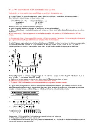 3•: Aa × Aa - aproximadamente 33,33% azul e 66,66% de cor azul-claro.
Neste jardim, as flores que têm maior possibilidade de se abrirem são as de cor azul.
4. (Unesp) Observe os cruzamentos a seguir, onde o alelo (A) condiciona a cor amarela em camundongos e é
dominante sobre o alelo (a), que condiciona a cor cinza.
Analise os resultados destes cruzamentos e responda.
a) Qual cruzamento apresenta resultado de acordo com os valores esperados?
b) Como você explicaria o resultado do cruzamento em que os valores observados não estão de acordo com os valores
esperados?
4. a) O cruzamento II (Aa x aa) apresenta os resultados esperados, pois resulta em 50% Aa (amarelos) e 50% aa
(cinza).
b) O cruzamento II (Aa x Aa) produziu 66% amarelos e 33% cinza, ou seja, 2 amarelos : 1 cinza, proporção indicativa de
que o gene dominante (A) que determina a cor amarela é letal em homozigose.
5. (Ufc) A figura a seguir, adaptada da Folha de São Paulo de 17/03/96, mostra a transmissão do albinismo, de geração,
na Família de Raimundo e Eleílde da Silva, moradores da ilha dos Lençóis, situada a oeste de São Luís, onde a
freqüência de albinos é de 1,5 % e cinqüenta vezes maior do que entre o restante da população do Maranhão.
Analise a figura onde se admite que a pigmentação da pele é devida a um par de alelos (A,a). Os indivíduos I - 1, II - 6,
V - 2, V - 3 e V - 5 são albinos. Responda, então:
a) O albinismo se deve a alelo dominante ou a alelo recessivo? Explique com base na figura.
5. a) Recessivo pois os pais IV - 1 e IV - 2 são normais e têm filhos albinos.
c) 1/4 porque Paulo e Joana serão obrigatoriamente heterozigotos para o gene em questão.
6. (Ufjf) Numa aula de genética, o professor lhe apresenta o heredograma a seguir, que mostra a ocorrência de uma
anomalia causada pela ação de um par de genes (A e a) em várias gerações de uma família. Ao analisar os indivíduos
afetados por esta anomalia, você conclui que se trata de uma herança autossômica dominante.
Baseando-se EXCLUSIVAMENTE no heredograma apresentado acima, responda:
a) Por que a anomalia NÃO pode ser recessiva?
b) Qual a probabilidade de nascer uma criança afetada pela anomalia, se a mulher (4) da geração F3 tiver filhos com um
homem que apresente essa anomalia?
 