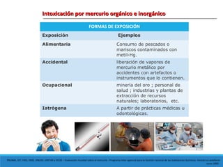 Intoxicación por mercurio orgánico e inorgánicoIntoxicación por mercurio orgánico e inorgánico
FORMAS DE EXPOSICIÓN
Exposición Ejemplos
Alimentaria Consumo de pescados o
mariscos contaminados con
metil-Hg.
Accidental liberación de vapores de
mercurio metálico por
accidentes con artefactos o
instrumentos que lo contienen.
Ocupacional minería del oro ; personal de
salud ; industrias y plantas de
extracción de recursos
naturales; laboratorios, etc.
Iatrógena A partir de prácticas médicas u
odontológicas.
PNUMA, OIT, FAO, OMS, ONUDI, UNITAR y OCDE – Evaluación mundial sobre el mercurio - Programa Inter agencial para la Gestión racional de las Substancias Químicas -Versión e castellano:
Junio 2005 -
 