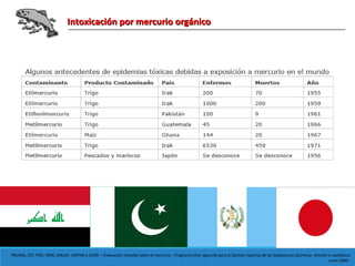 Intoxicación por mercurio orgánicoIntoxicación por mercurio orgánico
PNUMA, OIT, FAO, OMS, ONUDI, UNITAR y OCDE – Evaluación mundial sobre el mercurio - Programa Inter agencial para la Gestión racional de las Substancias Químicas -Versión e castellano:
Junio 2005 -
 