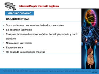 Intoxicación por mercurio orgánicoIntoxicación por mercurio orgánico
CARACTERISTICAS
• Son mas tóxicos que los otros derivados mercuriales
• Se absorben fácilmente
• Traspasa la barrera hematoencefalica, hematoplacentaria y tracto
digestivo
• Neurotóxico irreversible
• Excreción lenta
• Ha causado intoxicaciones masivas
PNUMA, OIT, FAO, OMS, ONUDI, UNITAR y OCDE – Evaluación mundial sobre el mercurio - Programa Inter agencial para la Gestión racional de las Substancias Químicas -Versión e castellano:
Junio 2005 -
 