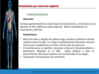 Intoxicación por mercurio orgánicoIntoxicación por mercurio orgánico
TOXICOCINETICA
Absorción
El tracto gastrointestinal es la principal vía de absorción, a través del cual se
absorbe un 90 a 100% de la dosis ingerida. Menor cantidad por vía
respiratoria y dérmica.
Metabolismo
• Mercurio arilos y alquilos de cadena larga, cuando se absorbe el enlace
carbono-mercurio lábil se rompe inmediatamente liberando mercurio
iónico cuyo metabolismo es similar al de la sales de mercurio.
• El metilmercurio es lipofilico, atraviesa la barrera hematoencefalica y
placentaria. Deposita en el SNC, tejido adiposo y pelo en
concentración 250 veces mayores a las encontradas en la sangre.
• Transporte intracelular por los eritrocitos.
Indicadores biológicos para la valoración de la exposición humana a los compuestos químicos industriales: Mercurio (EUR 10704 EN).
 