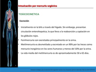 Intoxicación por mercurio orgánicoIntoxicación por mercurio orgánico
TOXICOCINETICA
Excreción
• Inicialmente en la bilis a través del hígado. Sin embargo, presentan
circulación enterohepatica, lo que lleva a la reabsorción y captación en
los glóbulos rojos.
• Fenilmercurio son excretados principalmente en la orina.
• Metilmercurio es desmetilado y excretado en un 90% por las heces como
mercurio inorgánico en los seres humanos y menos del 10% por la orina.
• La vida media del metilmercurio es de aproximadamente 50 a 65 días.
Indicadores biológicos para la valoración de la exposición humana a los compuestos químicos industriales: Mercurio (EUR 10704 EN).
 