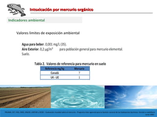 Intoxicación por mercurio orgánicoIntoxicación por mercurio orgánico
Indicadores ambiental
Valores limites de exposición ambiental
PNUMA, OIT, FAO, OMS, ONUDI, UNITAR y OCDE – Evaluación mundial sobre el mercurio - Programa Inter agencial para la Gestión racional de las Substancias Químicas -Versión e castellano:
Junio 2005 -
 