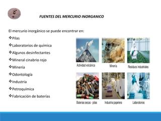 FUENTES DEL MERCURIO INORGANICO
El mercurio inorgánico se puede encontrar en:
Pilas
Laboratorios de química
Algunos desinfectantes
Mineral cinabrio rojo
Minería
Odontología
Industria
Petroquímica
Fabricación de baterías
 