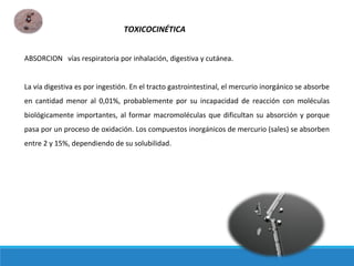 ABSORCION vías respiratoria por inhalación, digestiva y cutánea.
La vía digestiva es por ingestión. En el tracto gastrointestinal, el mercurio inorgánico se absorbe
en cantidad menor al 0,01%, probablemente por su incapacidad de reacción con moléculas
biológicamente importantes, al formar macromoléculas que dificultan su absorción y porque
pasa por un proceso de oxidación. Los compuestos inorgánicos de mercurio (sales) se absorben
entre 2 y 15%, dependiendo de su solubilidad.
TOXICOCINÉTICA
 