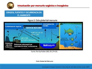 Intoxicación por mercurio orgánico e inorgánicoIntoxicación por mercurio orgánico e inorgánico
Ciclo Global del Mercurio
Encyclopedia of Inorganic Chemistry. R. Bruce King, Ed. John Wiley and Sons. Sussex. (1997).
 