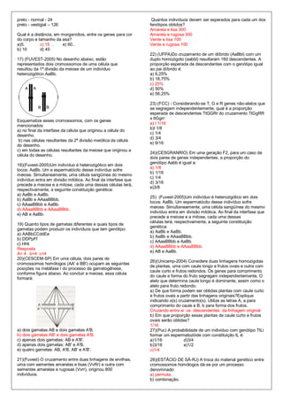 preto - normal - 24                                               Quantos indivíduos devem ser esperados para cada um dos
preto - vestigial – 126                                          fenótipos obtidos?
                                                                 Amarela e lisa 300
Qual é a distância, em morganídios, entre os genes para cor      Amarela e rugosa 300
do corpo e tamanho da asa?                                       Verde e lisa 100
a)5.        c) 15 .    e) 60..                                   Verde e rugosa 100
b) 10       d) 45
                                                                 22) (UFPA)Do cruzamento de um diíbrido (AaBbl) com um
17) (FUVEST-2005) No desenho abaixo, estão                       duplo homozigoto (aabbl) resultaram 160 descendentes. A
representados dois cromossomos de uma célula que                 proporção esperada de descendentes com o genótipo igual
resultou da 1ª divisão da meiose de um indivíduo                 ao pai diíbrido é:
heterozigótico AaBb.                                             a) 6,25%
                                                                 b) 18,75%
                                                                 c) 25%
                                                                 d) 50%
                                                                 e) 56,25%

                                                                 23) (FCC) - Considerando-se T, G e R genes não-alelos que
                                                                 se segregam independentemente, qual é a proporção
                                                                 esperada de descendentes TtGGRr do cruzamento TtGgRR
                                                                 x ttGgrr:
Esquematize esses cromossomos, com os genes
                                                                 a) I 1/16
mencionados:
                                                                 b)l 1/8
a) no final da interfase da célula que originou a célula do
                                                                 c) 1/4
desenho.
                                                                 d) 3/4
 b) nas células resultantes da 2ª divisão meiótica da célula
                                                                 e) 9/16
do desenho.
c) em todas as células resultantes da meiose que originou a
                                                                 24)(CESGRANRIO) Em uma geração F2, para um caso de
célula do desenho.
                                                                 dois pares de genes independentes, a proporção do
                                                                 genótipo Aabb é igual a:
18)(Fuvest-2005)Um indivíduo é heterozigótico em dois
                                                                 a) 1/8
locos: AaBb. Um e espermatócito desse indivíduo sofre
                                                                 b) 1/16
meiose. Simultaneamente, uma célula sangüínea do mesmo
                                                                 c) 1/4
indivíduo entra em divisão mitótica. Ao final da interfase que
                                                                 d) 3/16
precede a meiose e a mitose, cada uma dessas células terá,
                                                                 e)3/8
respectivamente, a seguinte constituição genética:
a) AaBb e AaBb.
                                                                 25) (Fuvest-2005)Um indivíduo é heterozigótico em dois
b) AaBb e AAaaBBbb.
                                                                 locos: AaBb. Um espermatócito desse indivíduo sofre
c) AAaaBBbb e AaBb.
                                                                 meiose. Simultaneamente, uma célula sangüínea do mesmo
d) AAaaBBbb e AAaaBBbb.
                                                                 indivíduo entra em divisão mitótica. Ao final da interfase que
e) AB e AaBb.
                                                                 precede a meiose e a mitose, cada uma dessas
                                                                 células terá, respectivamente, a seguinte constituição
19) Quanto tipos de gametas diferentes e quais tipos de
                                                                 genética:
gametas podem produzir os indivíduos que tem genótipo:
                                                                 a) AaBb e AaBb.
a) AABbCCddEe
                                                                 b) AaBb e AAaaBBbb.
b) DDPpFf
                                                                 c) AAaaBBbb e AaBb.
c) Hhli
                                                                 d) AAaaBBbb e AAaaBBbb.
Resposta
                                                                 e) AB e AaBb.
A= 4 b=4 c=4
20)(CESCEM-SP) Em uma célula, dois pares de
                                                                 26)(Unicamp-2004) Considere duas linhagens homozigotas
cromossomos homólogos (AA' e BB') ocupam as seguintes
                                                                 de plantas, uma com caule longo e frutos ovais e outra com
posições na metáfase I do processo da gametogênese,
                                                                 caule curto e frutos redondos. Os genes para comprimento
conforme figura abaixo. Ao concluir a meiose, essa célula
                                                                 do caule e forma do fruto segregam independentemente. O
formará:
                                                                 alelo que determina caule longo é dominante, assim como o
                                                                 alelo para fruto redondo.
                                                                 a) De que forma podem ser obtidas plantas com caule curto
                                                                 e frutos ovais a partir das linhagens originais?Explique
                                                                 indicando o(s) cruzamento(s). Utilize as letras A, a para
                                                                 comprimento do caule e B, b para forma dos frutos.
                                                                 Cruzando entre si os descendentes da linhagem original
                                                                 b) Em que proporção essas plantas de caule curto e frutos
                                                                 ovais serão obtidas?
                                                                 1/16
a) dois gametas AB e dois gametas A'B.                           27)(Puc) A probabilidade de um individuo com genótipo TtLi
b) dois gametas AB' e dois gametas A'B.                          formar um espermatozóide com constituição tL é:
c) apenas dois gametas: AB e A'B'.                               a)1/16             d)3/4
d) apenas dois gametas: AB' e A'B.                               b)3/16             e)1/2
e) quatro gametas: AB, A'B, AB' e A'B'.                          c)1/4

21)(Fuvest) O cruzamento entre duas linhagens de ervilhas,       28)(ESTÃCIO DE SÃ-RJ) A troca do material genético entre
uma com sementes amarelas e lisas (VvRr) e outra com             cromossomos homólogos dá-se por um processo
sementes amarelas e rugosas (Vvrr), originou 800                 denominado:
indivíduos.                                                      a) permuta.
                                                                 b) combinação.
 