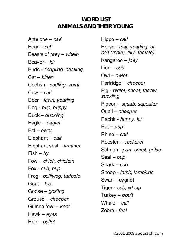 and their babies animals worksheet animals List and young and their babies animals worksheet animals List and young