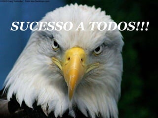 SUCESSO A TODOS!!! 