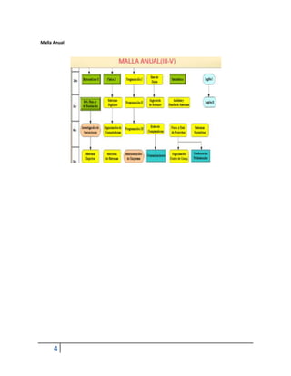 Malla Anual




      4
 