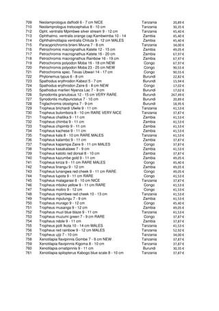 709   Neolamprologus daffodil 6 - 7 cm NICE                 Tanzania    20,89 €
710   Neolamprologus tretocephalus 8 - 10 cm                Tanzania    30,35 €
712   Opht. ventralis Mpimbwe silver stream 9 - 12 cm       Tanzania    45,40 €
713   Ophthalmo. ventralis orange cap Kambwimba 10 - 14      Zambia     45,40 €
714   Ophthalmotilapia ventralis Chituta 9 - 12 cm MALES     Zambia     45,40 €
715   Paracyprichromis brieni Mvuna 7 - 8 cm                Tanzania    34,00 €
716   Petrochromis macrognathus Katete 12 - 15 cm            Zambia     49,05 €
717   Petrochromis macrognathus Katete 16 - 20 cm            Zambia     67,97 €
718   Petrochromis macrognathus Rainbow 16 - 19 cm           Zambia     67,97 €
719   Petrochromis polyodon Moba 16 - 18 cm NEW              Congo      67,97 €
720   Petrochromis polyodon Moba 23 - 25 cm NEW              Congo      90,55 €
721   Petrochromis spec. Texas Ubwari 14 - 17 cm             Congo      90,55 €
722   Phylonemus typus 6 - 8 cm                              Burundi    22,82 €
723   Spathodus erythrodon Kabezi 5 - 7 cm                   Burundi    15,94 €
724   Spathodus erythrodon Zaire 6 - 8 cm NEW                Congo      17,02 €
725   Spathodus marlieri Nyanza Lac 7 - 9 cm                 Burundi    17,02 €
726   Synodontis granulosus 12 - 15 cm VERY RARE             Burundi   267,49 €
727   Synodontis multipunctatus 7 - 10 cm                    Burundi    20,89 €
728   Triglachromis otostigma 7 - 9 cm                       Burundi    18,95 €
729   Tropheus brichardi Ulwile 9 - 11 cm                   Tanzania    41,53 €
730   Tropheus bulombora 8 - 10 cm RARE VERY NICE           Tanzania    37,87 €
731   Tropheus chaitika 9 - 11 cm                            Zambia     41,53 €
732   Tropheus chimba 9 - 11 cm                              Zambia     41,53 €
733   Tropheus chipimbi 9 - 11 cm                            Zambia     41,53 €
734   Tropheus kachese 9 - 11 cm                             Zambia     41,53 €
735   Tropheus kala 8 - 10 cm RARE MALES                    Tanzania    41,53 €
736   Tropheus kalambo 9 - 11 cm                             Zambia     37,87 €
737   Tropheus kapampa Zaire 9 - 11 cm MALES                 Congo      37,87 €
738   Tropheus kasakalawe 7 - 9 cm                           Zambia     41,53 €
739   Tropheus katoto red dorsal 8 - 10 cm                   Zambia     37,87 €
740   Tropheus kazumbe gold 9 - 11 cm                        Zambia     49,05 €
741   Tropheus kiriza 9 - 11 cm RARE MALES                   Congo      45,40 €
742   Tropheus linangu 9 - 12 cm                             Zambia     49,05 €
743   Tropheus lunangwa red cheek 9 - 11 cm RARE             Congo      49,05 €
744   Tropheus lupota 9 - 11 cm RARE                         Congo      41,53 €
745   Tropheus malagarasi 8 - 10 cm NICE                    Tanzania    37,87 €
746   Tropheus mboko yellow 9 - 11 cm RARE                   Congo      41,53 €
747   Tropheus moliro 9 - 12 cm                              Congo      41,53 €
748   Tropheus mpimbwe red cheek 10 - 13 cm                 Tanzania    41,53 €
749   Tropheus mpulungu 7 - 9 cm                             Zambia     41,53 €
750   Tropheus murago 9 - 12 cm                              Congo      45,40 €
751   Tropheus musanga 9 - 12 cm                             Zambia     49,05 €
752   Tropheus muzi blue blaze 9 - 11 cm                    Tanzania    41,53 €
753   Tropheus muzumi green 7 - 9 cm RARE                    Congo      37,87 €
754   Tropheus ndole 9 - 11 cm                               Zambia     37,87 €
755   Tropheus polli Ikola 10 - 14 cm MALES                 Tanzania    41,53 €
756   Tropheus red rainbow 9 - 12 cm MALES                  Tanzania    52,92 €
757   Tropheus ujiji 7 - 10 cm                              Tanzania    34,00 €
758   Xenotilapia flavipinnis Gombe 7 - 9 cm NEW            Tanzania    37,87 €
759   Xenotilapia flavipinnis Kigoma 8 - 10 cm              Tanzania    37,87 €
760   Xenotilapia ornatipinnis 9 - 11 cm                     Burundi    30,35 €
761   Xenotilapia spilopterus Kabogo blue scale 8 - 10 cm   Tanzania    37,87 €
 