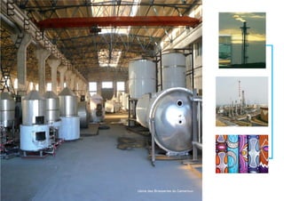 Usine des Brasseries du CamerounUsine des Brasseries du Cameroun
 