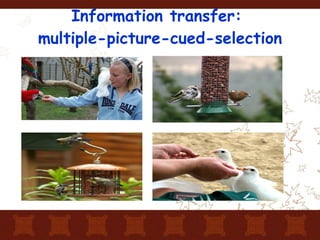 Information transfer:  multiple-picture-cued-selection 