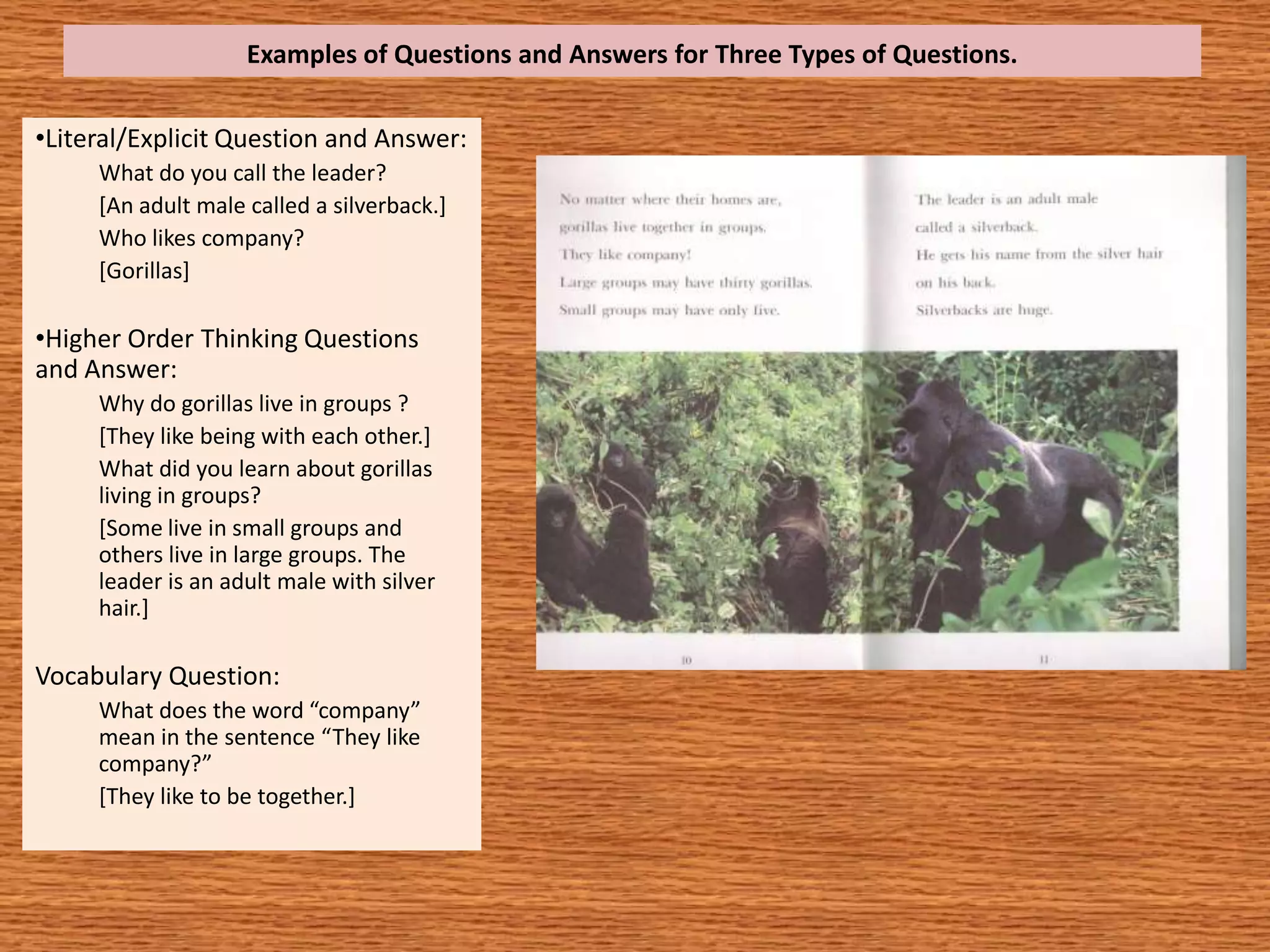Examples of Questions and Answers for Three Types of Questions.

•Literal/Explicit Question and Answer:
     What do you call the leader?
     [An adult male called a silverback.]
     Who likes company?
     [Gorillas]

•Higher Order Thinking Questions
and Answer:
     Why do gorillas live in groups ?
     [They like being with each other.]
     What did you learn about gorillas
     living in groups?
     [Some live in small groups and
     others live in large groups. The
     leader is an adult male with silver
     hair.]

Vocabulary Question:
     What does the word “company”
     mean in the sentence “They like
     company?”
     [They like to be together.]
 