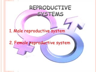 1. Male reproductive system

2. Female reproductive system
 