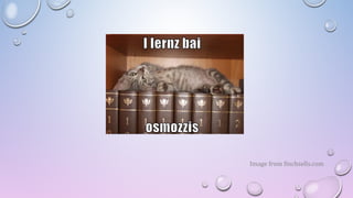 Image from finchsells.com
 