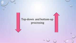 Top-down and bottom-up
processing
 