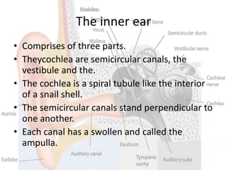 The inner ear
• Comprises of three parts.
• Theycochlea are semicircular canals, the
vestibule and the.
• The cochlea is a spiral tubule like the interior
of a snail shell.
• The semicircular canals stand perpendicular to
one another.
• Each canal has a swollen and called the
ampulla.
 