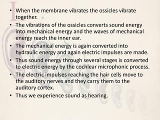• When the membrane vibrates the ossicles vibrate
together.
• The vibrations of the ossicles converts sound energy
into mechanical energy and the waves of mechanical
energy reach the inner ear.
• The mechanical energy is again converted into
hydraulic energy and again electric impulses are made.
• Thus sound energy through several stages is converted
to electric energy by the cochlear microphonic process.
• The electric impulses reaching the hair cells move to
the auditory nerves and they carry them to the
auditory cortex.
• Thus we experience sound as hearing.
 
