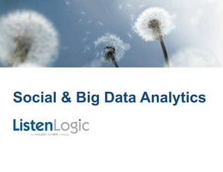 Unstructured Big Data Analytics 
Copyright © 2014 ListenLogic LLC 
 
