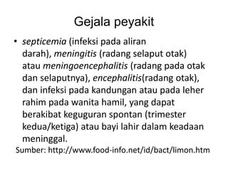 Gejala peyakit
• septicemia (infeksi pada aliran
darah), meningitis (radang selaput otak)
atau meningoencephalitis (radang pada otak
dan selaputnya), encephalitis(radang otak),
dan infeksi pada kandungan atau pada leher
rahim pada wanita hamil, yang dapat
berakibat keguguran spontan (trimester
kedua/ketiga) atau bayi lahir dalam keadaan
meninggal.
Sumber: http://www.food-info.net/id/bact/limon.htm
 
