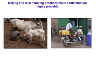 Listeria monocytogenes: An emerging foodborne pathogen in Ghana? 