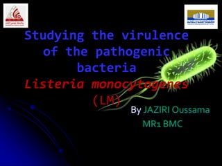 Studying the virulence
of the pathogenic
bacteria
Listeria monocytogenes
(LM)
By JAZIRI Oussama
MR1 BMC
 