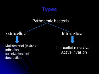 Types
Pathogenic bacteria
Extracellular Intracellular
Multifactorial (toxins):
adhesion,
colonization, cell
destruction.
Intracellular survival:
Active invasion
 