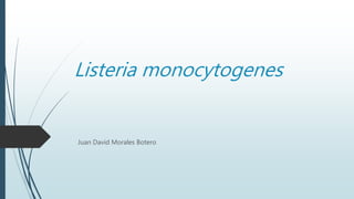 Listeria monocytogenes
Juan David Morales Botero
 