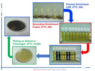 Occurrence of Listeria monocytogenes in traditionally processed fish in informal markets in Accra, Ghana