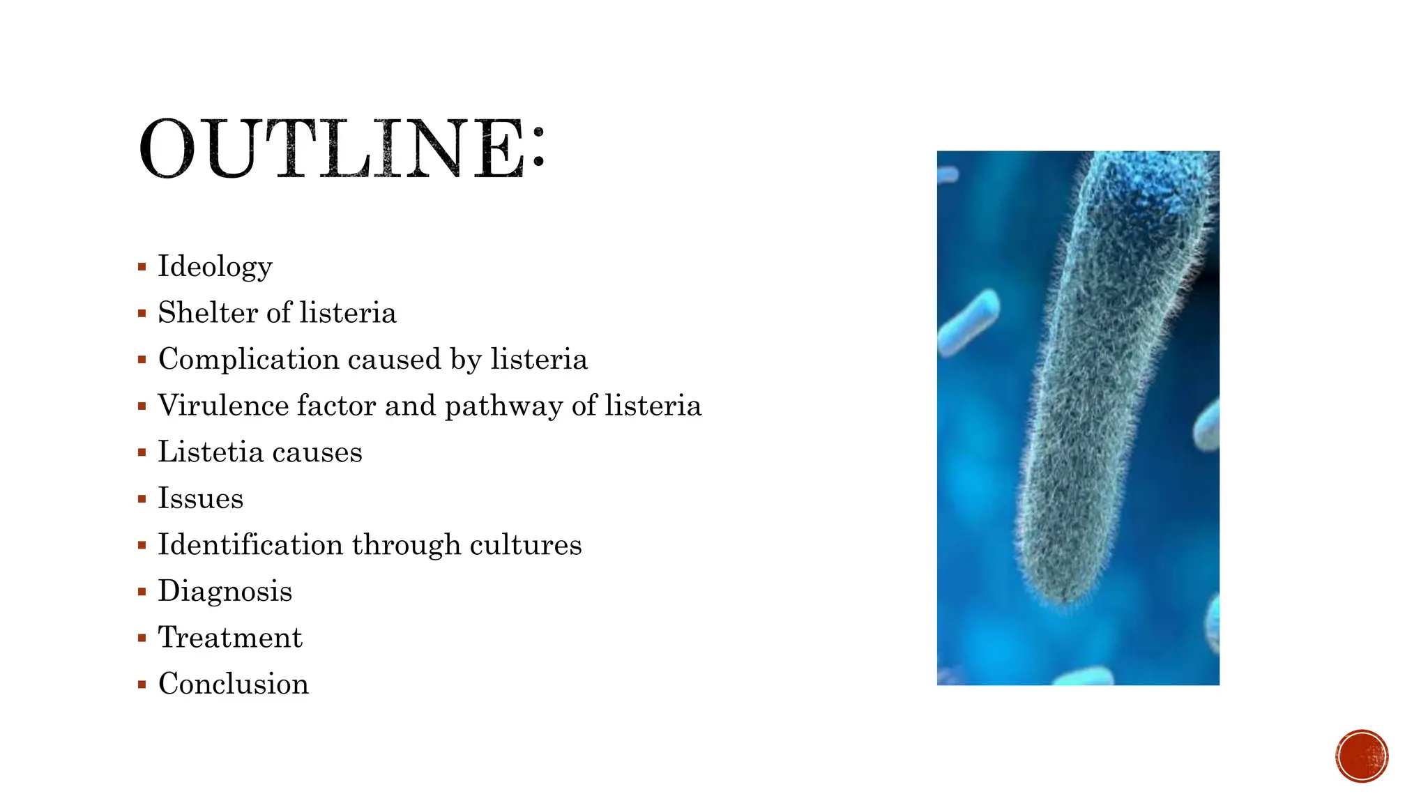 Listeriosis causing Foodborne infection PPT