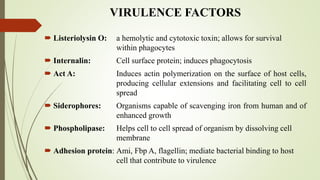 VIRULENCE FACTORS
 Listeriolysin O: a hemolytic and cytotoxic toxin; allows for survival
within phagocytes
 Internalin: Cell surface protein; induces phagocytosis
 Act A: Induces actin polymerization on the surface of host cells,
producing cellular extensions and facilitating cell to cell
spread
 Siderophores: Organisms capable of scavenging iron from human and of
enhanced growth
 Phospholipase: Helps cell to cell spread of organism by dissolving cell
membrane
 Adhesion protein: Ami, Fbp A, flagellin; mediate bacterial binding to host
cell that contribute to virulence
 