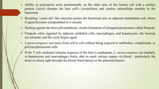  Ability to polymerize actin preferentially on the older pole of the listeria cell with a surface
protein (ActA) disrupts the host cell’s cytoskeleton and confers intracellular motility to the
bacterium
 Resulting ‘comet tail’-like structure pushes the bacterium into an adjacent mammalian cell, where
it again becomes encapsulated in a vacuole
 Pushing against the host cell membrane, results formation of elongated protrusions called filopods
 Filopods when ingested by adjacent epithelial cells, macrophages, and hepatocytes, the listeriae
are released, and the cycle begins again
 L monocytogenes can move from cell to cell without being exposed to antibodies, complement, or
polymorphonuclear cells
 If the T cell–mediated immune response of the host is inadequate, L. monocytogenes can multiply
in hepatocytes and macrophages freely, able to reach various organs via blood – particularly the
brain or uterus right through the blood–brain barrier or the placental barrier
 